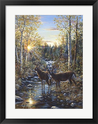Framed Whitetail Deer Print
