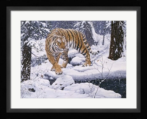 Framed Silent Hunter- Siberian Tiger Print