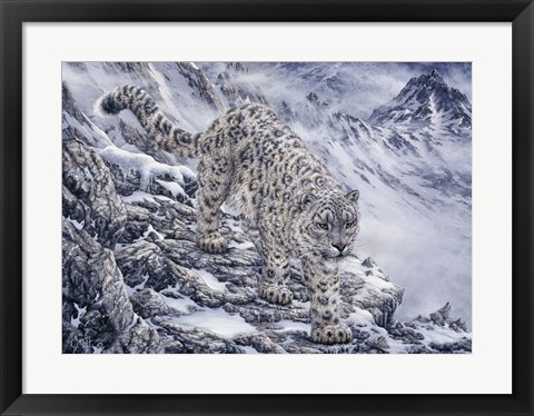 Framed Snow Leopard Print