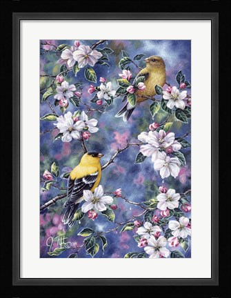 Framed Gold Finch &amp; Blossoms Print