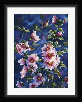 Framed Hollyhocks And Hummingbirds Print