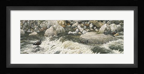 Framed Swift Water Print