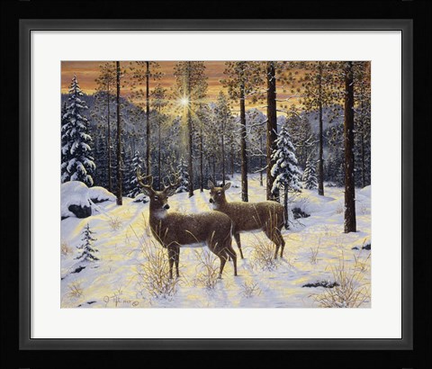 Framed Evening Silence Print