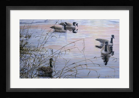 Framed Sunset Serenity Print