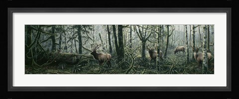 Framed Enchanted Forest Print