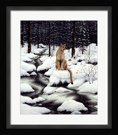Framed Cougar Print