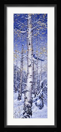 Framed Blue Jay Print