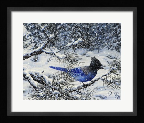 Framed Winter Jay Print