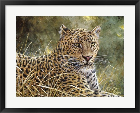 Framed Leopard Portrait Print