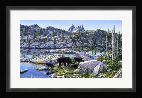 Framed Black Bear Print