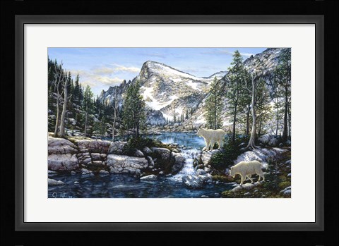 Framed Summer In The Enchantments Print