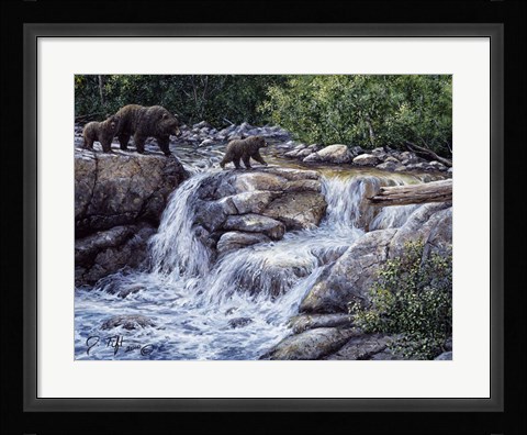 Framed Entiat Falls-Grizzly Family Print