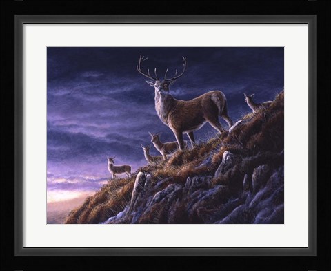 Framed Threatening Sky Red Deer Print