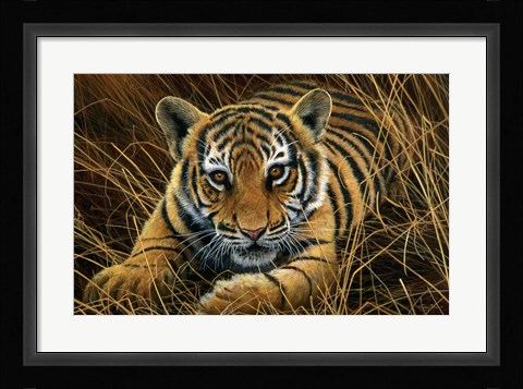 Framed Tiger Cub Print