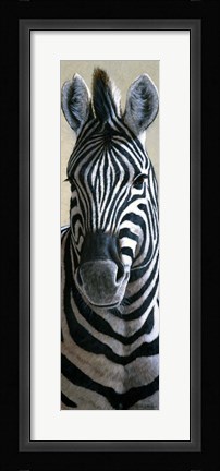 Framed Zebra Print
