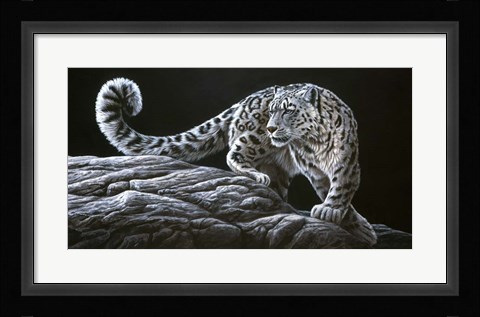 Framed Snow Leopard Print