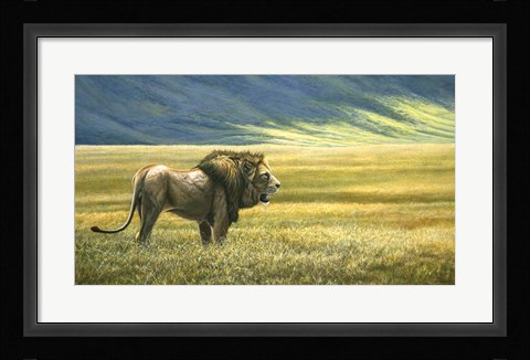 Framed His Domain Lion Print