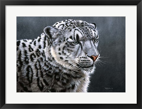 Framed Snow Leopard Print