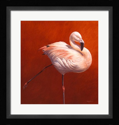 Framed Flame Bird Flamingo Print