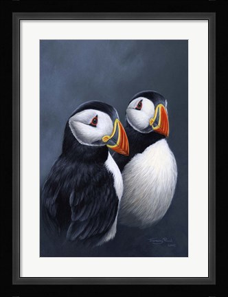 Framed Puffins Print