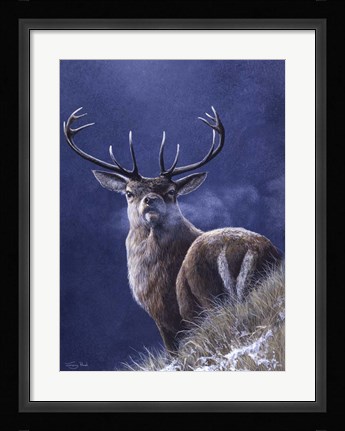 Framed Stag Print