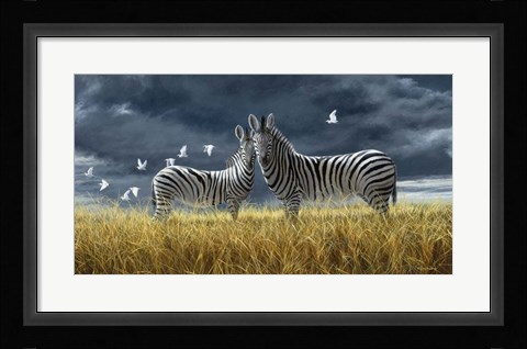 Framed Coming Of Rain Zebra Print