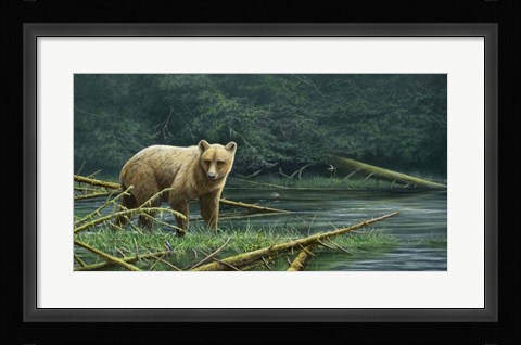 Framed Grizzly And Swallows Print