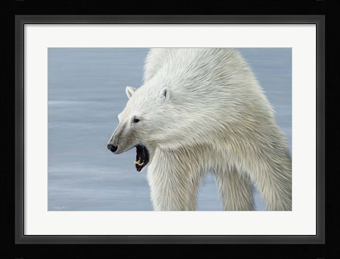 Framed Polar Bear Print