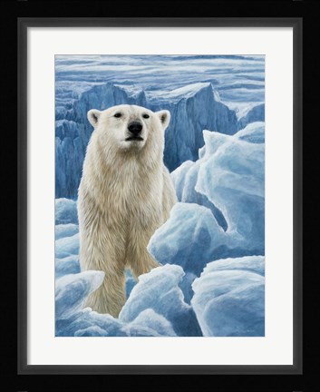 Framed Ice Bear Polar Bear Print