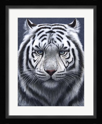 Framed White Tiger Ghost Print