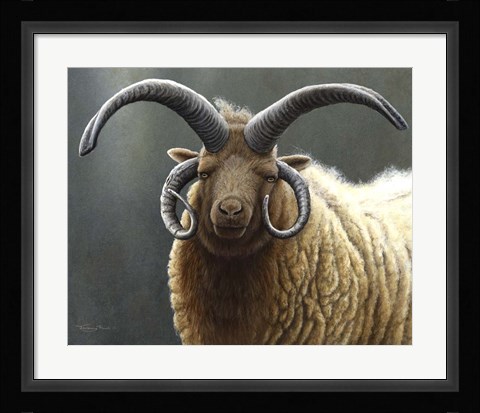 Framed Loaghtan Ram Print