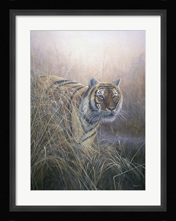 Framed Tiger At Dawn Print