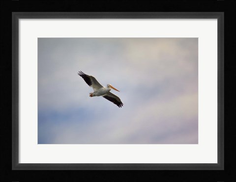 Framed Beautiful Day To Fly Print