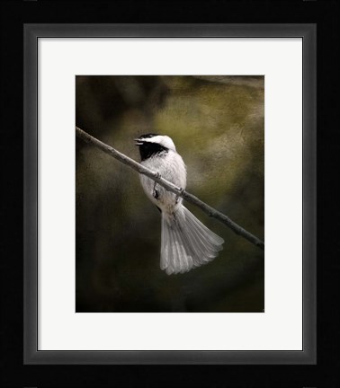 Framed Song In Your Heart Chickadee Print