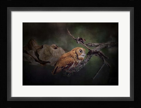 Framed After The Acorns Fall Print