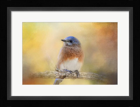 Framed Autumn's Treasure Print