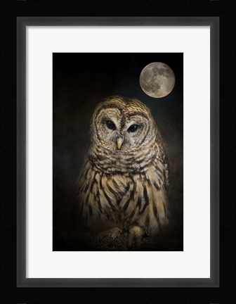 Framed Barred Owl And The Moon Print