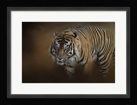 Framed Bengal Stare Print