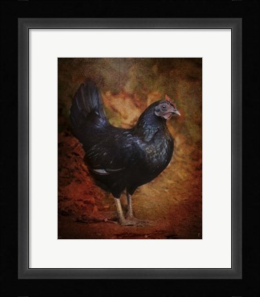 Framed Black Bantam Chicken Print