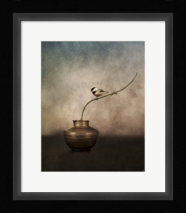 Framed Black Capped Chickadee On A Vase Print