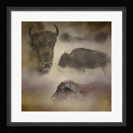 Framed Buffalo Dreams Print