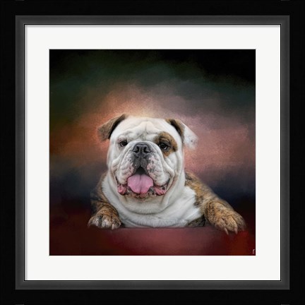 Framed Bulldog Hanging Out Print