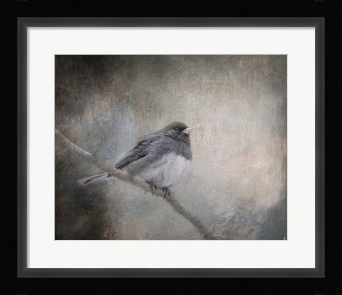 Framed By Winter's Light Print