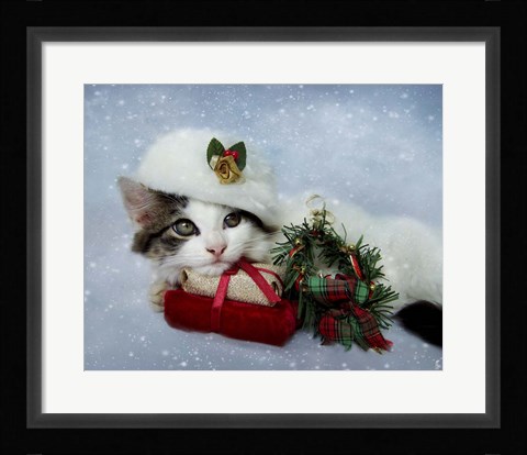 Framed Christmas Kitten In The Snow Print