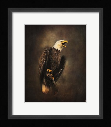 Framed Crying for the Lost Bald Eagle Print