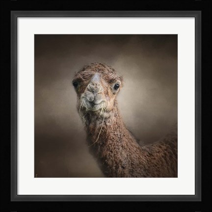 Framed Eat Your Veggies Camel Print