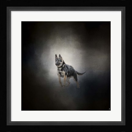 Framed German Shepherd Puppy Feet First Print