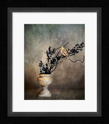 Framed House Finch and Berries Print