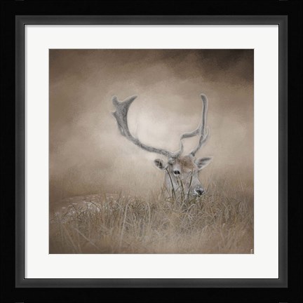 Framed In Plain Sight Sika Deer Print