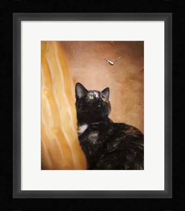Framed Kitten And The Butterfly Print
